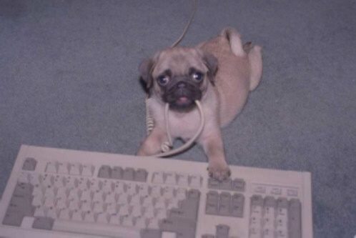 Buster