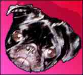 Meggie