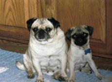 Trixie and Kody