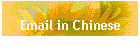 Email in Chinese