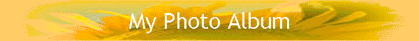 My Photo Album