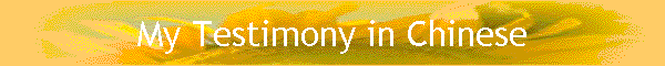 My Testimony in Chinese