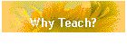 Why Teach?