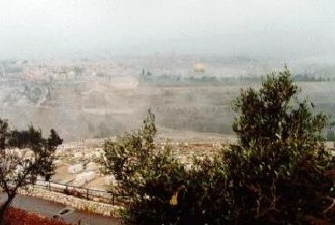 View from the Mount Olive
