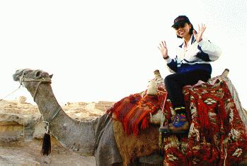 on camel