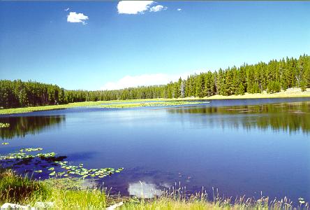 Swan Lake at Yellowstone