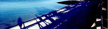 my shadow in blue