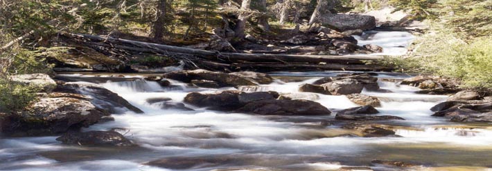 A trial at Grand Teton National Park