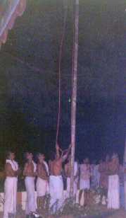 kodiyirakku