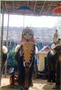 Ezhunnallippu