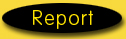 Report