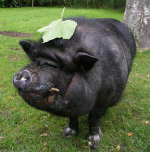 pigture taken by Ainur