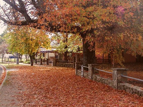 autumn