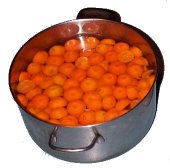 cumquats