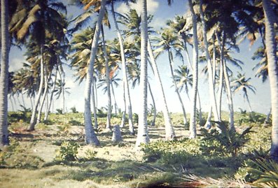 inland
