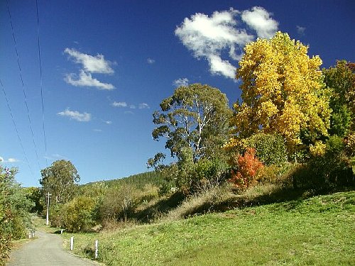 country scene (1)
