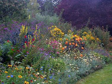 St Erth Summer garden
