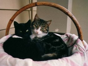 Mother and Son