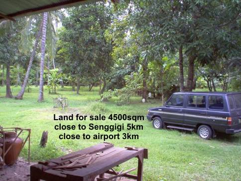 click detail photo gallery!