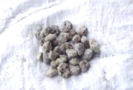 Click picture - Enlarge view