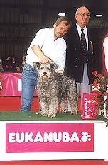 L.Gy. with �csi at the dog show