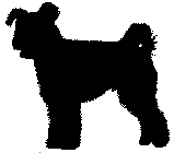 farok-1.gif (1584 bytes)