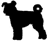farok-2.gif (1595 bytes)