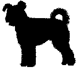 farok-3.gif (1619 bytes)