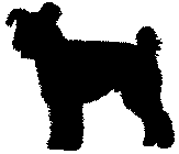 farok-4.gif (1573 bytes)