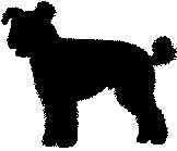 farok-5.gif (1595 bytes)