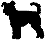 farok-6.gif (1619 bytes)