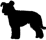 farok-8.gif (1564 bytes)