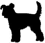farok-9.gif (1643 bytes)