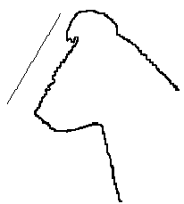stop1.gif (1912 bytes)