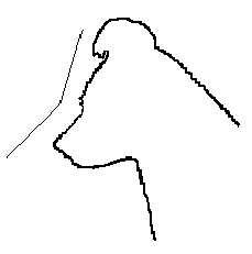 stop2.gif (1965 bytes)