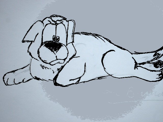 A picture of a Saint Bernard I drew..did I mention that I draw these special cartoon animals and anime..