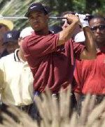 Tiger Woods suffered at the final hole (pic: Jack Dabaghian)