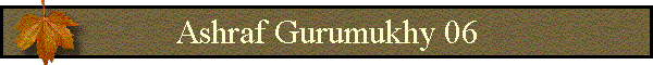 Ashraf Gurumukhy 06
