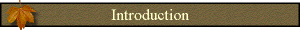 Introduction