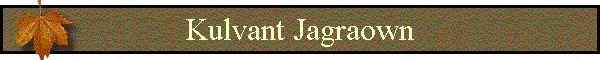 Kulvant Jagraown