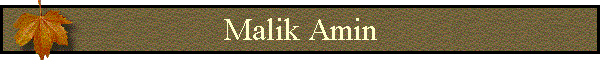 Malik Amin