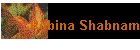 Robina Shabnam