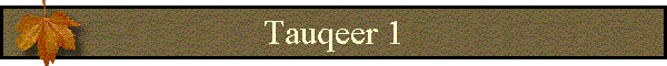 Tauqeer 1