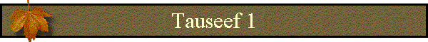 Tauseef 1