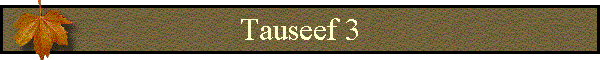 Tauseef 3