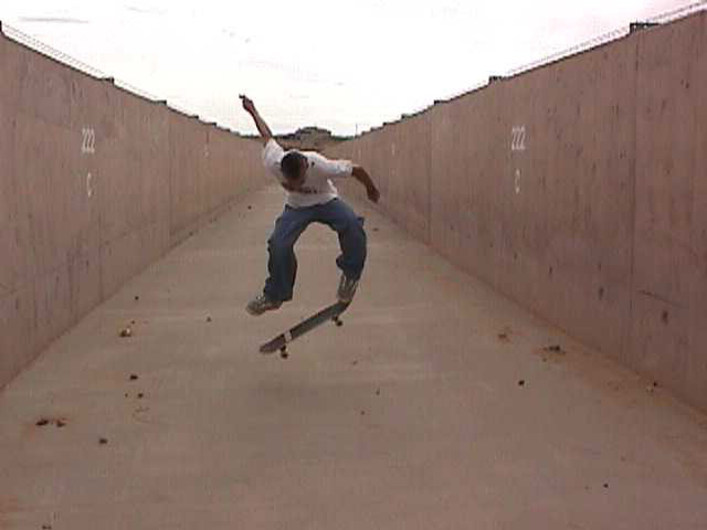 Willis!!!! "The Mohawked Skater!"