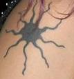 Spider!