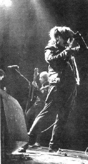 Honey at Woodstock North London way 1981 (DC Collection)