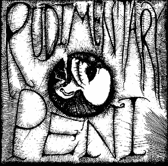 Rudimentary Peni Cd cover