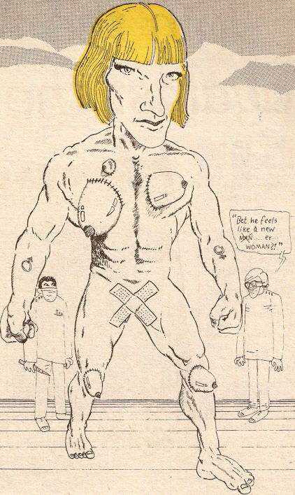 Wayne toon by Andy Johnson 1978 (DC Collection)